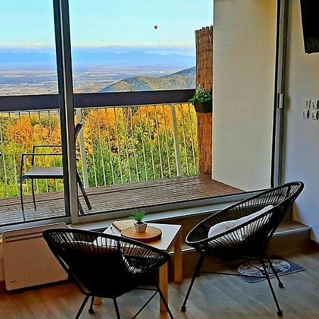 Studio Avec Sauna Au Calme A 15 Min De Colmar 特鲁瓦埃皮 外观 照片